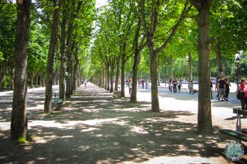 Afternoon Leisure Walk in Paris: Churches and Gardens