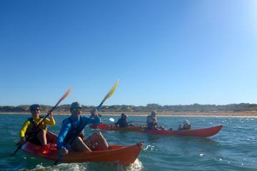 Afternoon Ningaloo Reef Kayaking and Snorkeling Tour