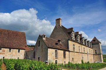 Afternoon tour in the Côte de Nuits vineyards