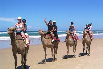 Agadir 2 Hour Camel Riding