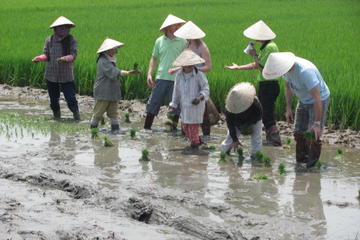 Agricultural Tour in Hoi An