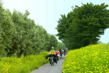 Amsterdam Countryside Bike Tour Including Cheese Tasting and Clog Demonstration