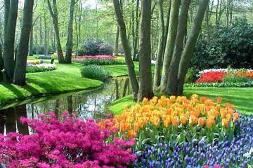 Amsterdam Super Saver 1: Keukenhof Gardens Day Trip and Amsterdam City Tour