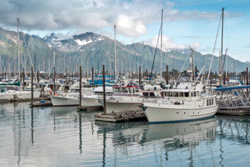 Anchorage Shore Excursion: Pre-Cruise Transfer and Tour from Anchorage to Seward