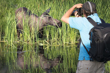 Anchorage Sunset Photography Tour