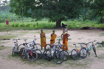 Angkor by Bicycle: 3-Day Guided Tour from Siem Reap