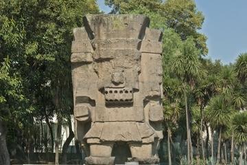 Anthropology Museum General Admission and Guide