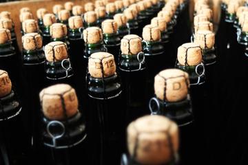 Apple Cider Tour from Caen