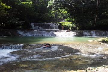 Appleton Estate Rum and YS Falls Tour