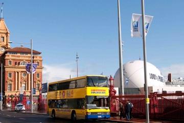 Auckland Shore Excursion: Hop-On Hop-Off Bus Tour