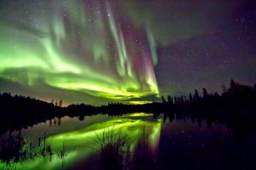 Aurora Hunting Tours