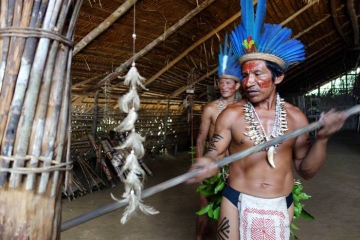 Ayahuasca Ceremony in Manaus