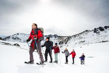 Backcountry Snowshoeing Tour from Queenstown