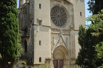 Balades in Beziers With Gyropodes and Fodd