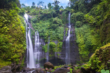 Bali Paradise Waterfall Trekking Tour