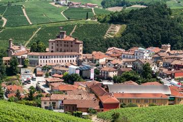 Barolo Segway Tour with Wine Tasting