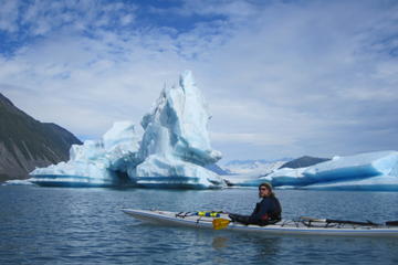 Bear Glacier Helicopter and Kayak Tour from Seward