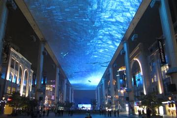 Beijing at Night Private Sightseeing Tour