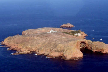 Berlengas Tour from Lisbon