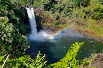 Big Island Waterfall Tour from Kona: Waipio Valley, Hamakua Coast and Akaka Falls