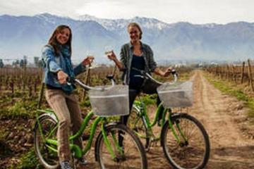 Bike and Wine Cousiño Macul Tour