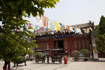 Biking Excursion: Explore Xi'an Buddhism Temple