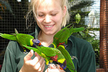 Bird Kingdom All Day Admission Ticket