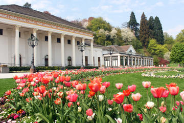 Black Forest and Baden-Baden Day Trip from Frankfurt