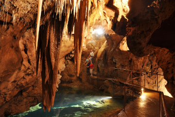 Blue Mountains and Jenolan Caves Day Trip from Sydney Including Optional Caving Adventure