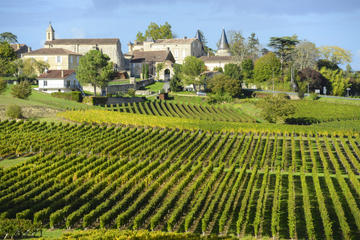 Bordeaux Shore Excursion: Private St-Emilion Half-Day Trip