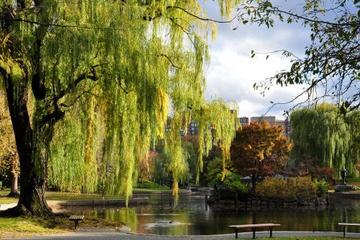 Boston TV and Movie Sites Walking Tour