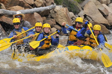Brown's Canyon Half Day Rafting Trip