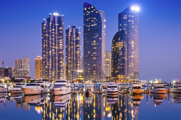 Busan by Night