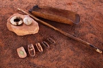 Bush Tucker Indigenous Food Tour from Ayers Rock