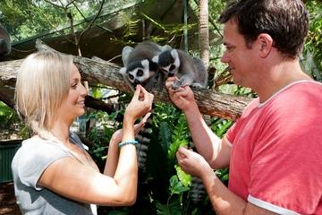 Cairns Tropical Zoo Wildlife Encounter