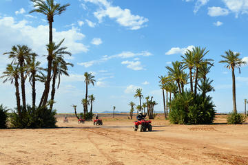 Camel and Quad Biking Tour from Marrakech