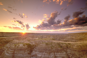 Canadian Badlands Day Trip from Calgary