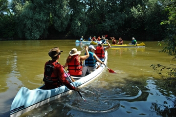 Canoeing Day Trip from Targu Mures