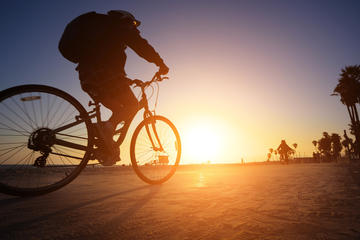 Cape of Good Hope Bike Tour from Cape Town