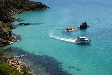 Cape Woolamai Sightseeing Cruise from San Remo