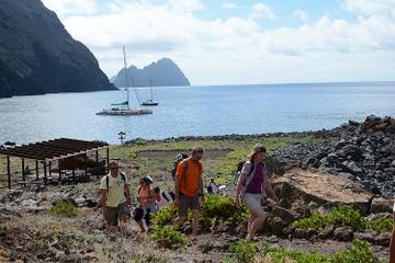 Catamaran Day Cruise to Desertas Islands from Funchal