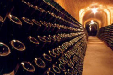 Cavas Freixenet Wine Tour from Mexico City