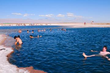 Cejar Lagoon Half-Day Tour from San Pedro de Atacama