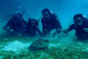 Certified Guided Reef Dive in St Thomas