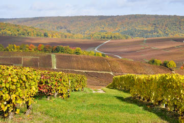 Champagne Tour from Paris: Moet and Chandon, Hautvillers and the House of Mumm