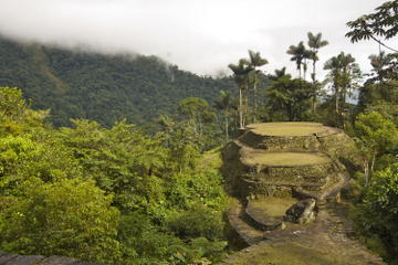 Ciudad Perdida: 4-, 5- or 6-Day Trek from Santa Marta