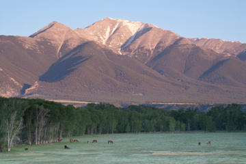 Climb a Colorado 14er: Front Range Day Hike up a 14,000-foot Mountain