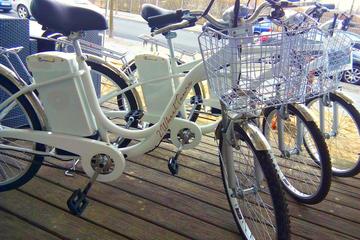 Comprehensive Electric Bike Tour of Berlin in a Small Group