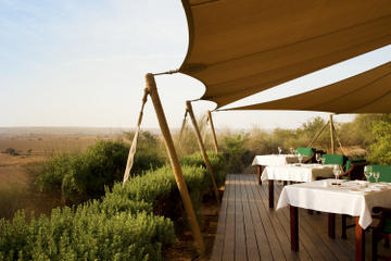 Conservation Drive With Refreshments at Al Maha Desert Resort and Transport from Dubai