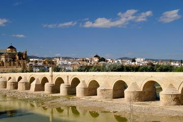 Cordoba Day Trip from Malaga